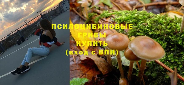молекула духа Михайлов