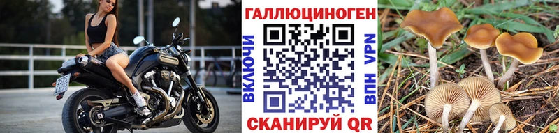 Купить  Симферополь  Псилоцибиновые грибы Cubensis 